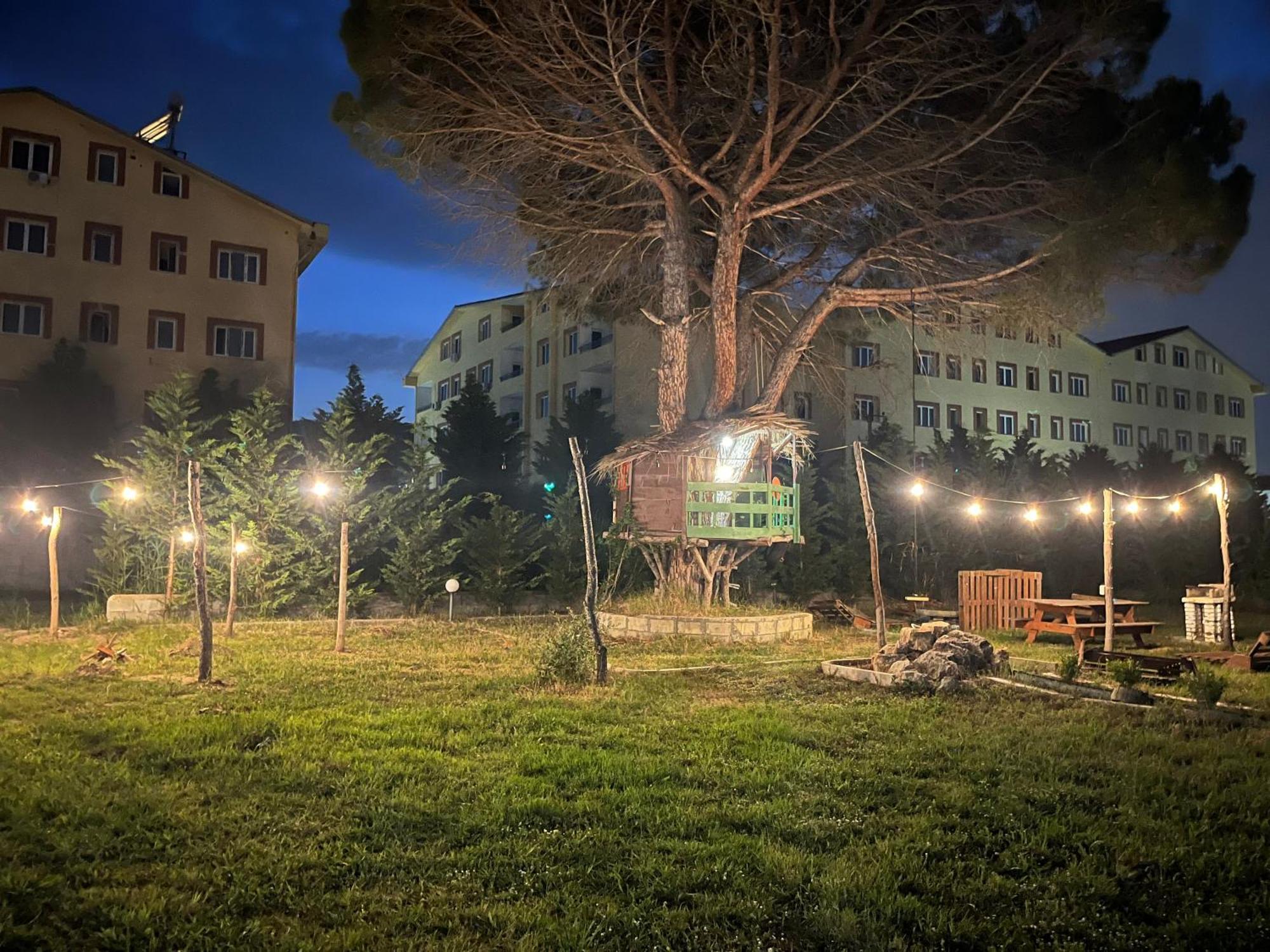 Family Tree - Quiet Area - Self Check In Aparthotel Golem (Tirana)